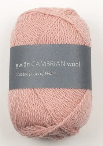 Cambrian Wool 4 ply