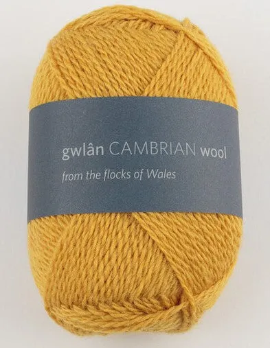 Cambrian Wool 4 ply