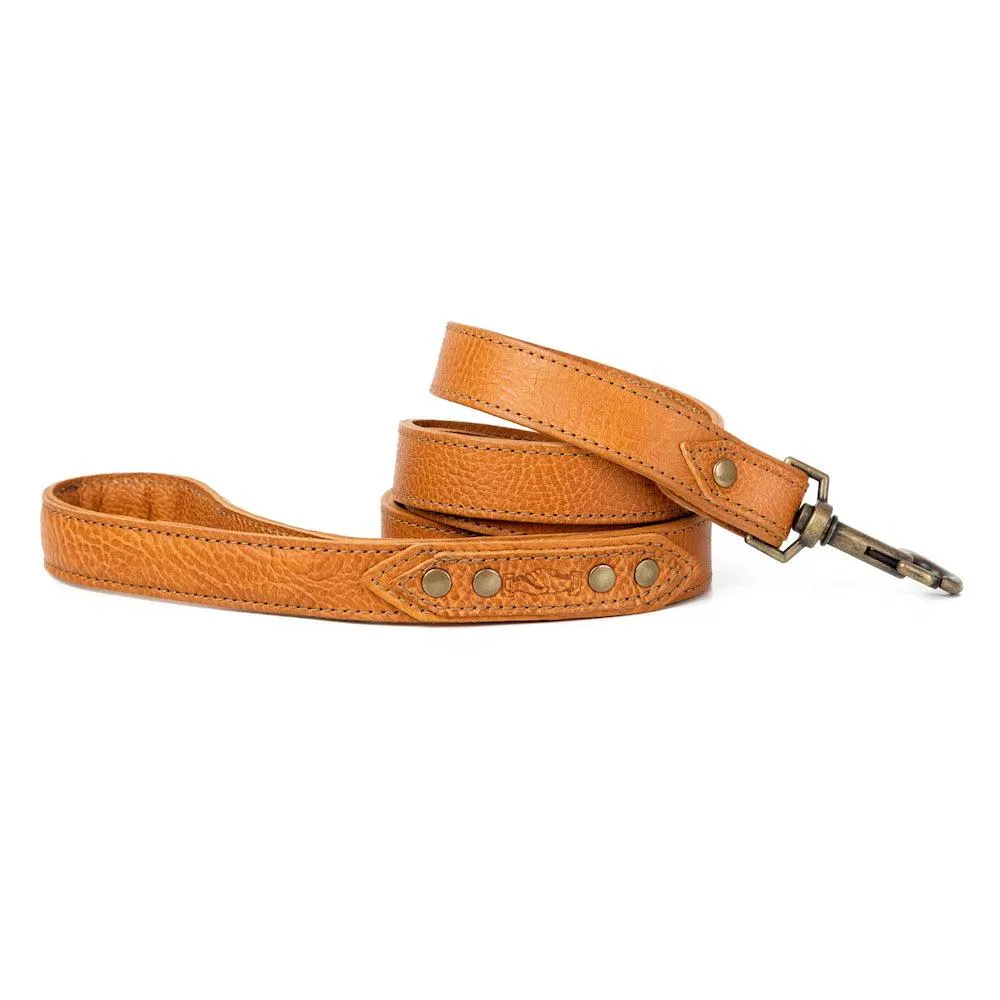 Campaign Leather Dog Leash