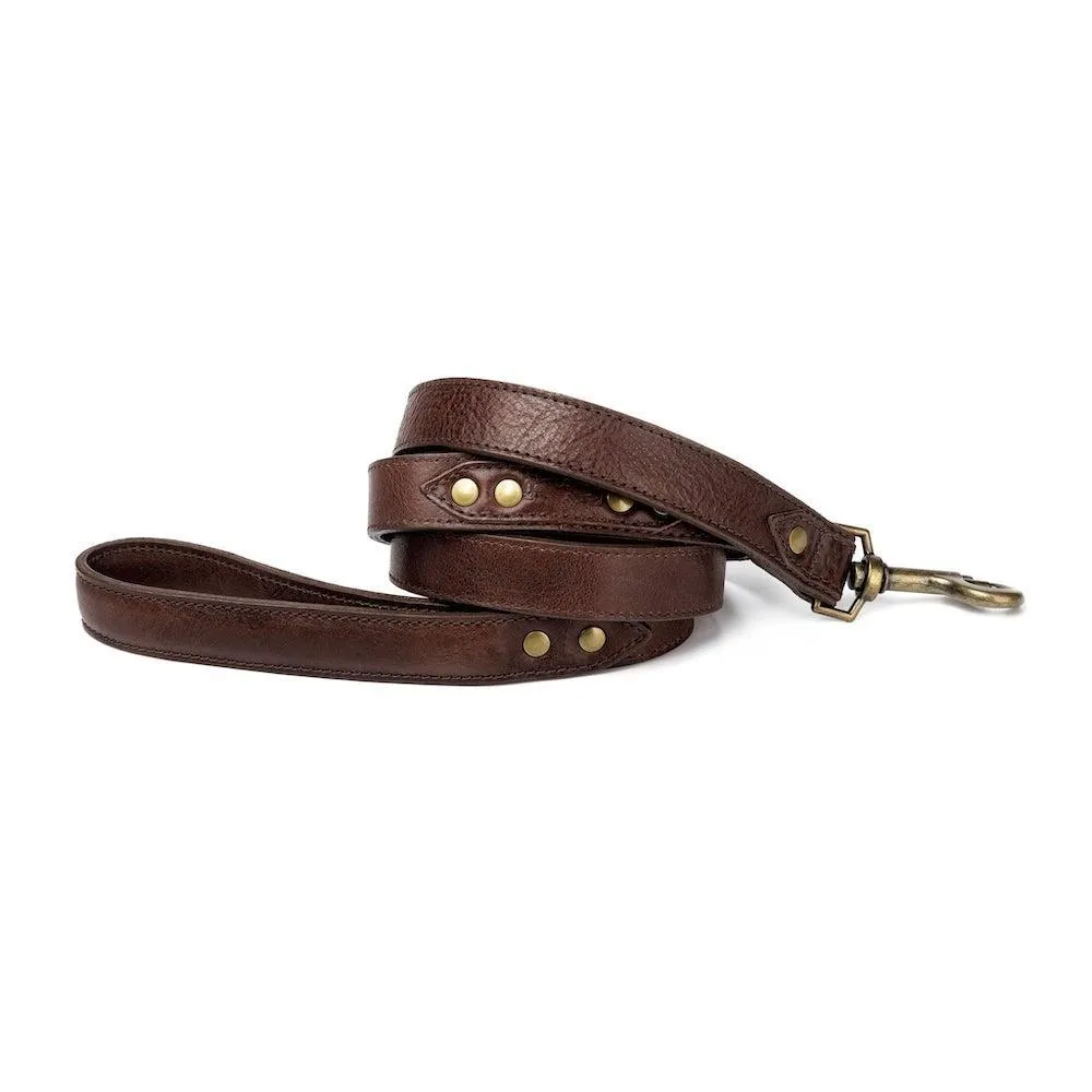 Campaign Leather Dog Leash