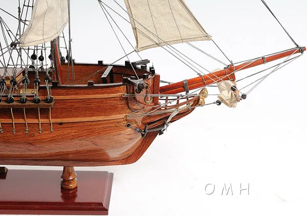 Lady Washington Ship Model