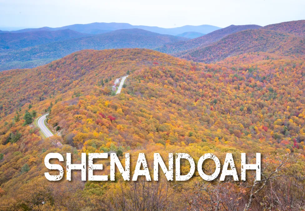 Shenandoah National Park Stoney Man in Fall 2"x3" Photo Magnet