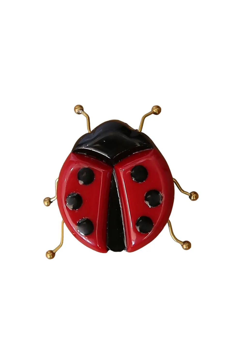 SIA BROOCH LADY BUG